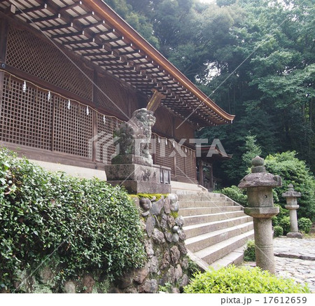 宇治上神社 17612659