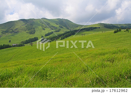 夏の車山高原スキー場 夏の車山高原スキー場 17612962