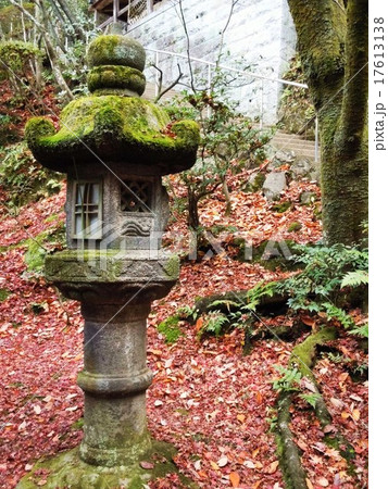 永観堂 永観堂 17613138