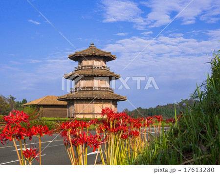 彼岸花に青空の鞠智城 17613280