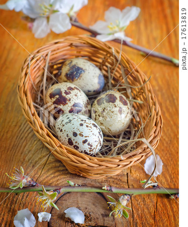 quail eggs quail eggs 17613819