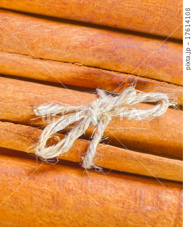 cinnamon cinnamon 17614108