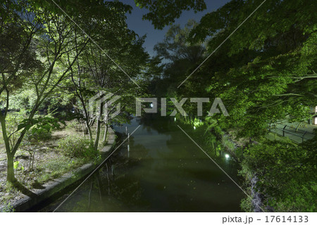 石神井公園 石神井公園 17614133