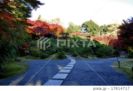 京都大河内山荘庭園の紅葉風景 17614717