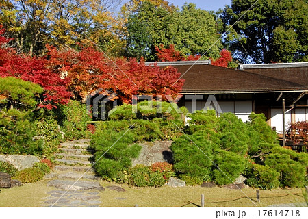 京都大河内山荘庭園の紅葉風景 17614718