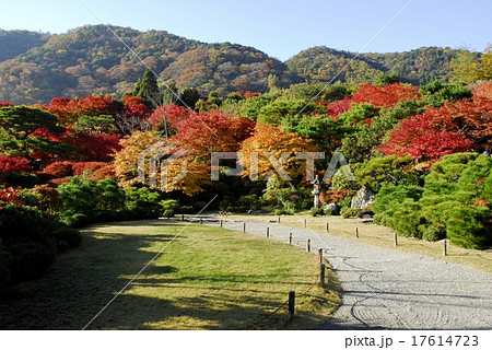 京都大河内山荘庭園の紅葉風景 17614723