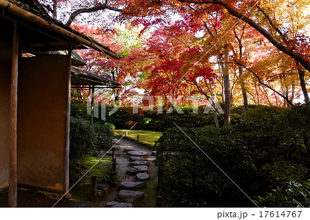 京都大河内山荘庭園の紅葉風景 17614767