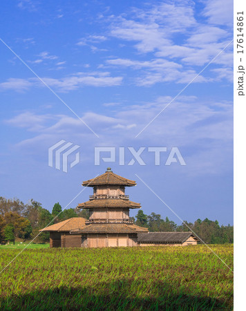 青空に鞠智城と古代米 17614861