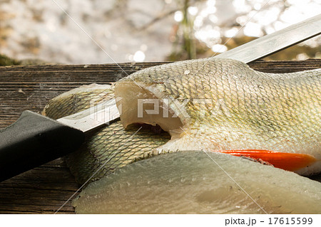 Perch fillets and a fish filleting knife Perch fillets and a fish filleting knife 17615599