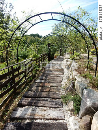 ガーデニング 17615857