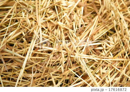Hay straw in the field 17616872