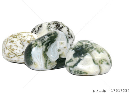 Tree Agate gemstone 17617554