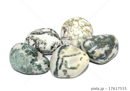 Tree Agate gemstone 17617555