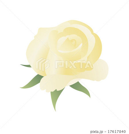 Floral background with yellow rose. Floral background with yellow rose. 17617840