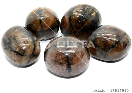 Chiastolite - Andalusite Chiastolite - Andalusite 17617919