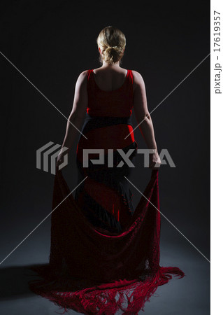 Flamenco 17619357