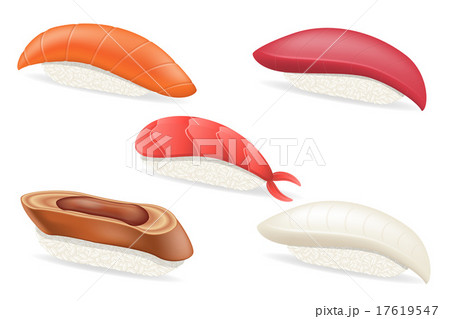 set raw japanese sushi vector illustration 17619547
