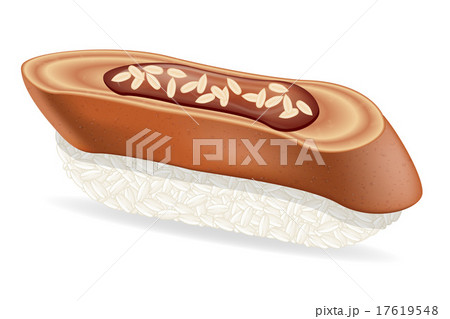 sushi with eel vector illustration 17619548