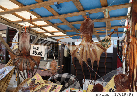 奥能登　輪島朝市の『地蛸』 17619798