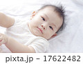 赤ちゃん 17622482