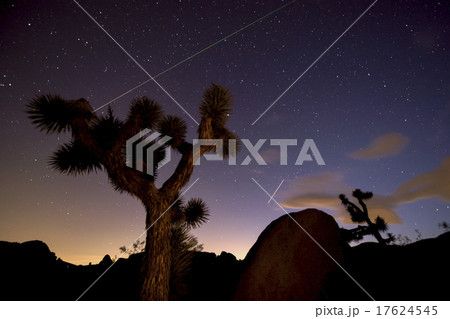 Night in Joshua Tree National Park 17624545