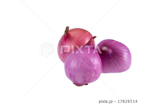 red onion 17626514