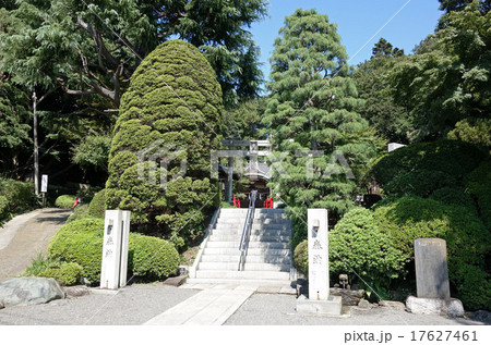 東京都小金井市の貫井神社2015/09 東京都小金井市の貫井神社2015/09 17627461