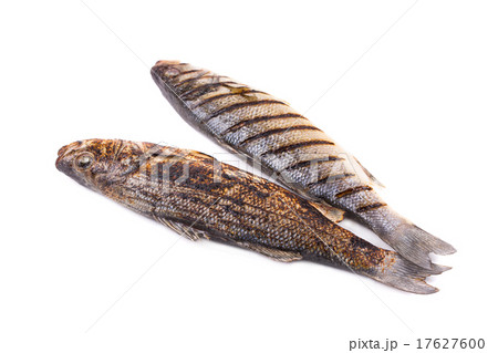 Two grilled fish on white. Two grilled fish on white. 17627600
