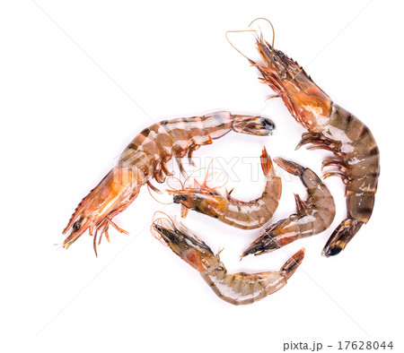 Raw tiger shrimps on white. 17628044