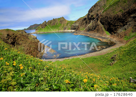 北海道　礼文島 17628640