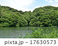 白神山地　十二湖　落口の池 17630573