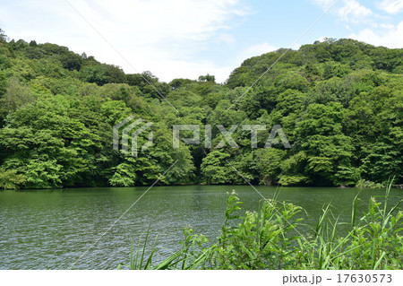 白神山地 十二湖 落口の池 白神山地 十二湖 落口の池 17630573