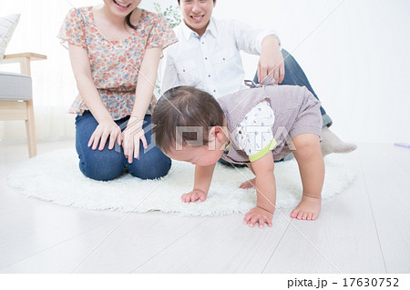 ordinary homes 1 year old ordinary homes 1 year old 17630752