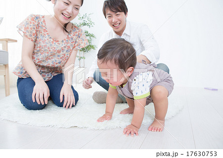 ordinary homes 1 year old ordinary homes 1 year old 17630753
