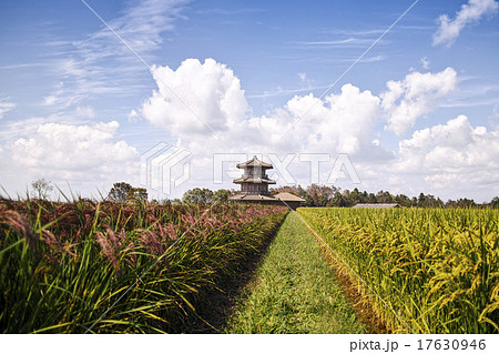 鞠智城跡の八角形鼓楼と赤米 17630946