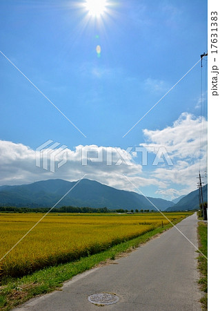 秋の実り (35) 秋の実り (35) 17631383