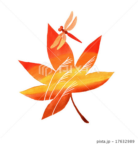 もみじと赤とんぼのイラスト素材