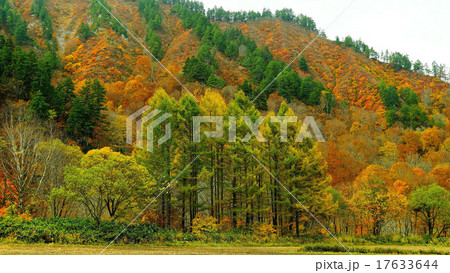 桧枝岐村 桧枝岐村 17633644