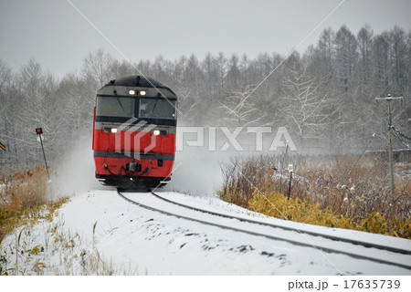 疾走する貨物列車 17635739