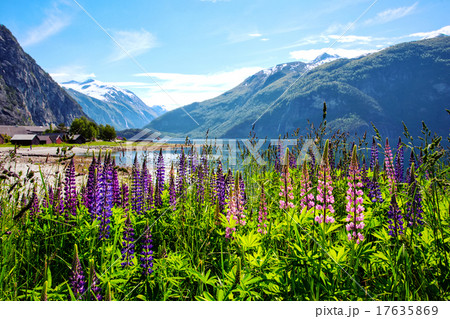 mountain landscape 17635869