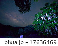 沖縄　さがりばな　天の川 17636469