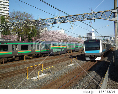 京浜東北線 E233系 北行き 川口駅 京浜東北線 E233系 北行き 川口駅 17636834