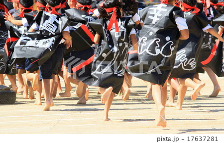 よさこい 17637281