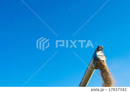 「マンゲツモチ」の収穫～秋空に舞う籾（新米）１ 17637382