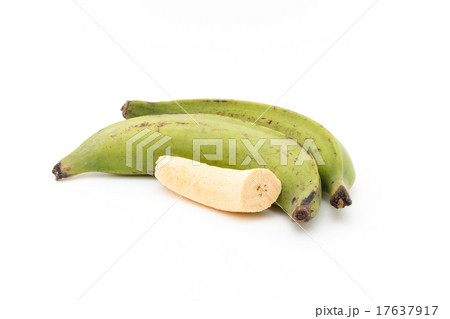 プランテン 17637917