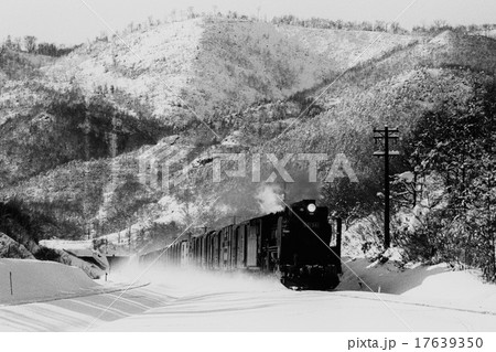 室蘭本線雪の礼文付近を下る貨物列車 17639350
