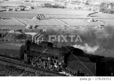 山陰本線晩秋の馬堀を下るＤ５１ 17639352