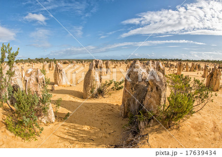 pinnacles park in west australia 17639434