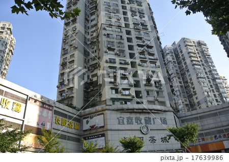上海市楊浦区 17639986