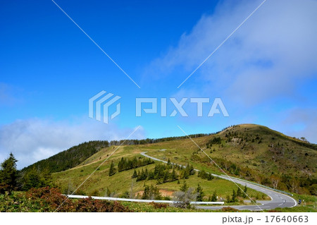 裏ビーナスライン (18) 17640663